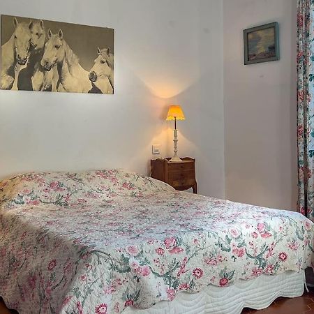 Mas De Charme En Pleine Camargue Villa Сан-Жил Екстериор снимка