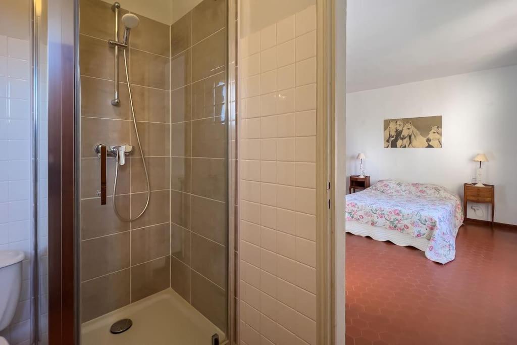 Mas De Charme En Pleine Camargue Villa Сан-Жил Екстериор снимка