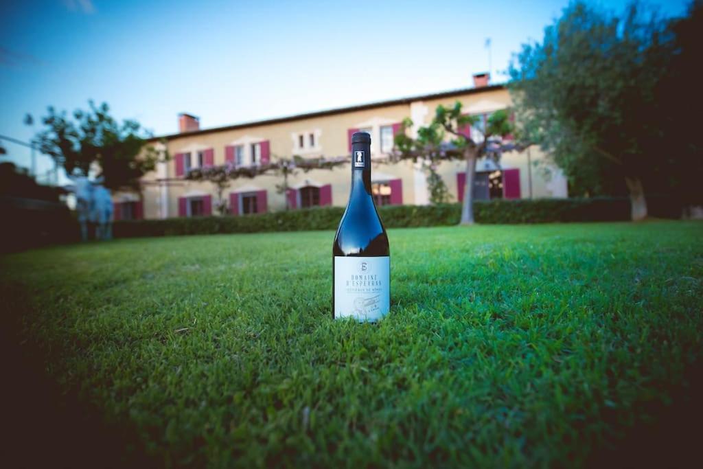 Mas De Charme En Pleine Camargue Villa Сан-Жил Екстериор снимка