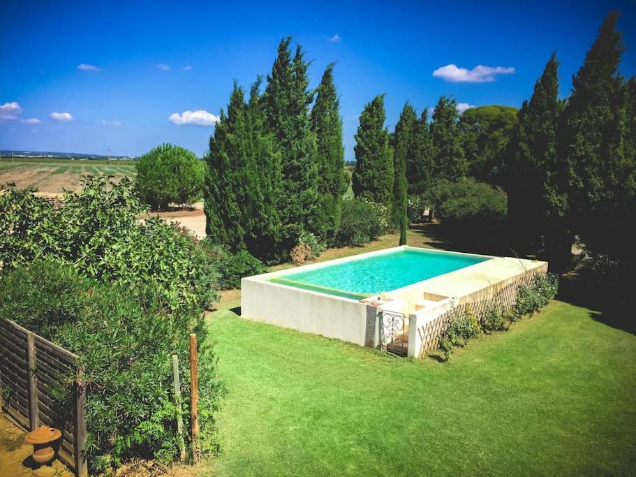 Mas De Charme En Pleine Camargue Villa Сан-Жил Екстериор снимка