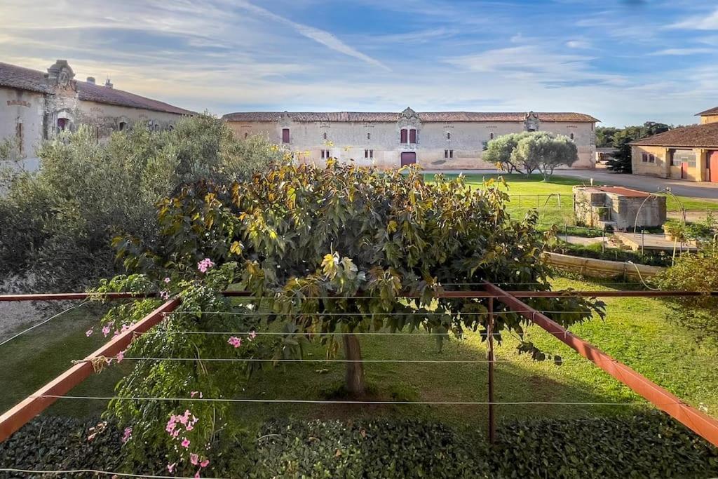 Mas De Charme En Pleine Camargue Villa Сан-Жил Екстериор снимка